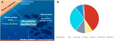 <mark class="highlighted">Plastic waste</mark> and microplastic issues in Southeast Asia